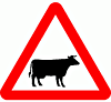 DOT No 548  Beware of Cattle  safety sign