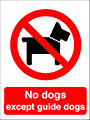 no dogs  safety sign