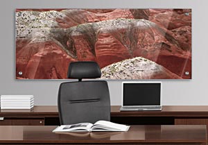 The Petrified Forest - Office Art on Acrylic