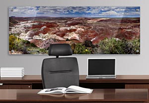 The Petrified Forest - Office Art on Acrylic