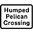 DOT NO 547.6 Humped pelican