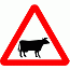DOT No 548  Beware of Cattle