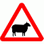 DOT No 549 Beware of Sheep