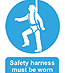 Safety harness must be worn