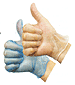 Vinyl Disposable Gloves