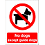 no dogs