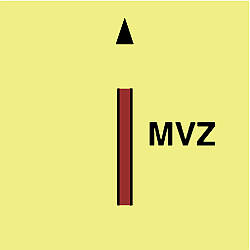 main vertical zone 