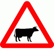 DOT No 548  Beware of Cattle Official Department of Transport Category: Warning Signs / Official schedule number: 1