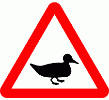 DOT No 551.2 Beware of Wild fowl Official Department of Transport Category: Warning Signs / Official schedule number: 1