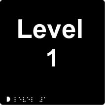 level 1 