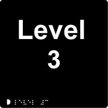 level 3 