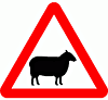 DOT No 549 Beware of Sheep  safety sign